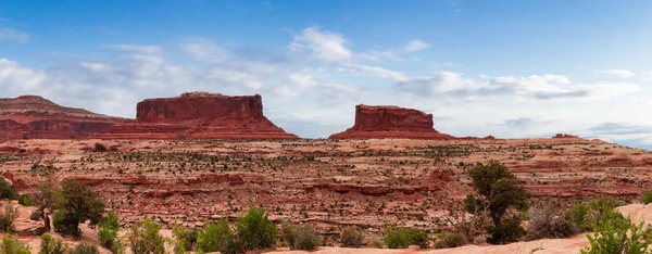 Scenic American Landscape Red Rock Mountains Desert Canyon Spring Season — Stockfoto