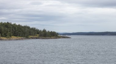 Islands surrounded by ocean and mountains. Summer Season. Gulf Islands near Vancouver Island, British Columbia, Canada. Canadian Landscape.