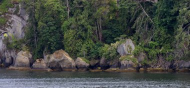 Rocky Island Cliff with Trees on a Cloudy Day. Summer Season. Near Nanaimo, Vancouver Island, British Columbia, Canada. Nature Background.