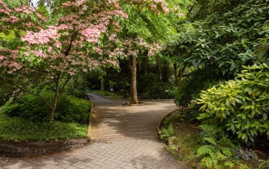 Sendall Gardens in a modern suburban city park. Summer season. Langley, Greater Vancouver, British Columbia, Canada.