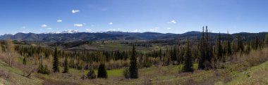 Green Trees and Mountains in American Landscape. Spring Season. Wyoming, United States. Nature Background Panorama