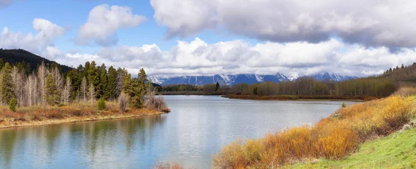 River Trees Land Mountains American Landscape Spring Season Grand Teton — Foto de Stock