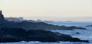 Rugged Rocks on a rocky shore on the West Coast of Pacific Ocean. Summer sunrise. Ucluelet, Vancouver Island, British Columbia, Canada. Nature Background