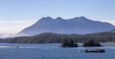 Tofino, Vancouver Island, British Columbia, Canada. View of Canadian Mountain Landscape on the West Coast of Pacific Ocean. Nature Background.