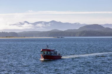 Tofino, Vancouver Island, British Columbia, Canada. View of Canadian Mountain Landscape on the West Coast of Pacific Ocean. Nature Background.
