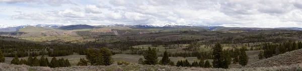 Trees Mountain American Landscape Yellowstone National Park Wyoming United States — Stockfoto