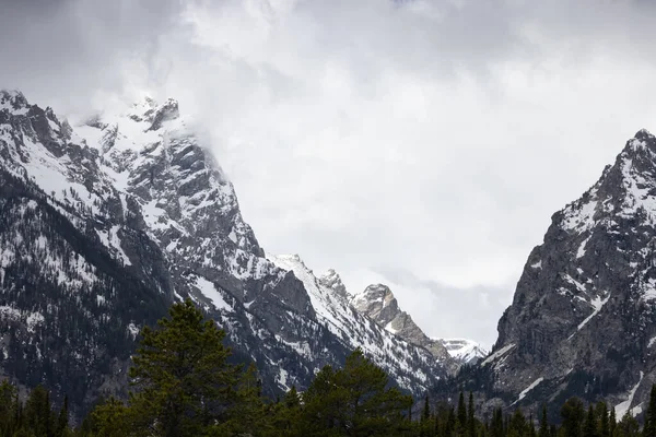 Snow Covered Mountains American Landscape Spring Season Grand Teton National — Stockfoto