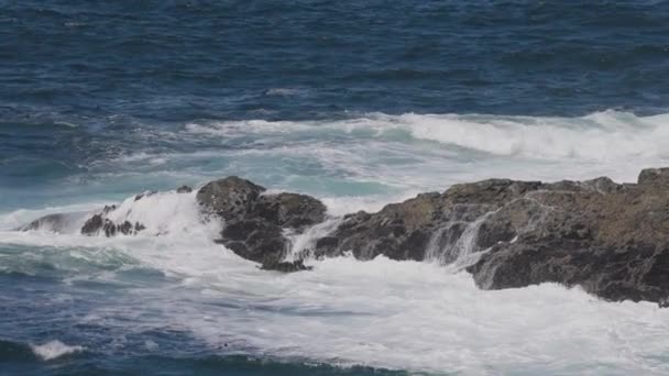Rugged Rocks Rocky Shore West Coast Pacific Ocean Summer Morning — 비디오