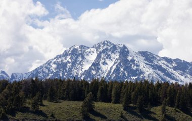Amerikan arazisindeki ağaçlar, topraklar ve dağlar. Bahar sezonu. Grand Teton Ulusal Parkı. Wyoming, Birleşik Devletler. Doğa Arkaplanı.