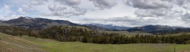 Trees and Mountain in the American Landscape. Yellowstone National Park, Wyoming. United States. Nature Background. Panorama