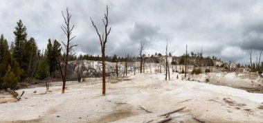 Amerikan Peyzajı 'nda renkli suyla sıcak kaynak gayzeri. Bulutlu Gökyüzü. Yellowstone Ulusal Parkı, Wyoming, ABD. Doğa Arkaplan Panoraması