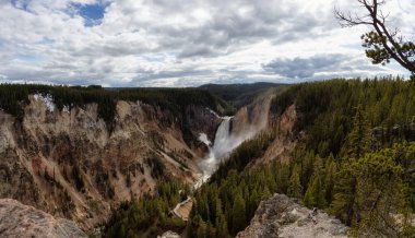 Rocky Canyon, River ve Waterfall, Amerikan Peyzajı. Yellowstone 'un Büyük Kanyonu. Yellowstone Ulusal Parkı. Birleşik Devletler. Doğa Arkaplanı.