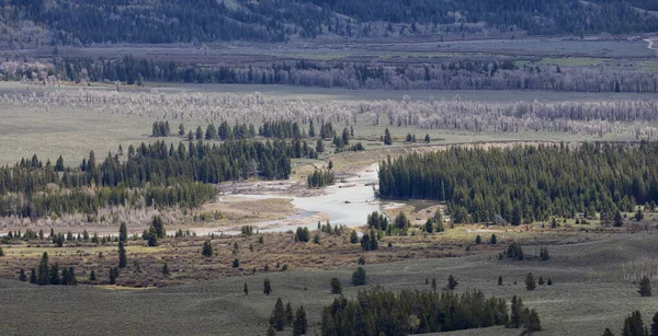 Amerikan arazisindeki ağaçlar, topraklar ve dağlar. Bahar sezonu. Grand Teton Ulusal Parkı. Wyoming, Birleşik Devletler. Doğa Arkaplanı.