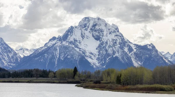 River Surrounded Trees Mountains American Landscape Snake River Oxbow Bend — Stockfoto