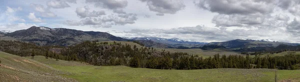 Trees Mountain American Landscape Yellowstone National Park Wyoming United States — Foto de Stock