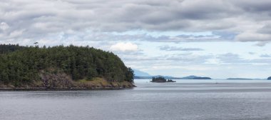 Canadian Landscape by the ocean and mountains. Summer Season. Gulf Islands near Vancouver Island, British Columbia, Canada. Canadian Landscape.