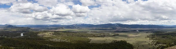 Trees Land Mountains American Landscape Spring Season Grand Teton National — Stockfoto
