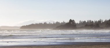 Waves on the Pacific Ocean on a sandy and rocky beach. West Coast. Sunny Summer. Cox Bay, Tofino, Vancouver Island, BC, Canada. Canadian Nature Background.