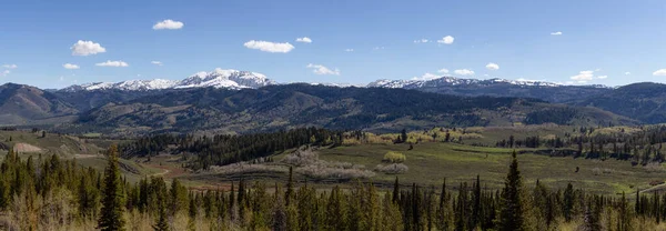 Green Trees and Mountains in American Landscape. Spring Season. Wyoming, United States. Nature Background Panorama