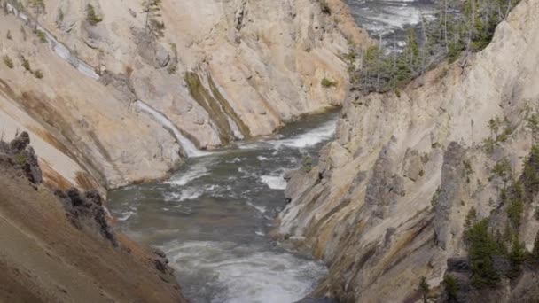 Rocky Canyon River American Landscape Grand Canyon Yellowstone Yellowstone National — Stock video