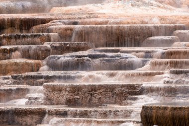 Renkli zemin formasyonlu Sıcak Bahar Manzarası. Mamut Kaplıcaları, Yellowstone Ulusal Parkı, Wyoming, ABD. Doğa Arkaplanı.