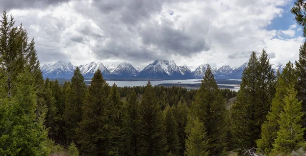 Trees, Land and Mountains in American Landscape. Spring Season. Grand Teton National Park. Wyoming, United States. Nature Background Panorama