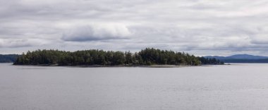 Island with Trees, surroiunded by Ocean and Mountains. Summer Season. Gulf Islands near Vancouver Island, British Columbia, Canada. Canadian Landscape.