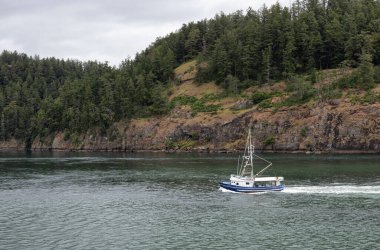 Canadian Landscape by the ocean and mountains. Summer Season. Gulf Islands near Vancouver Island, British Columbia, Canada. Canadian Landscape.