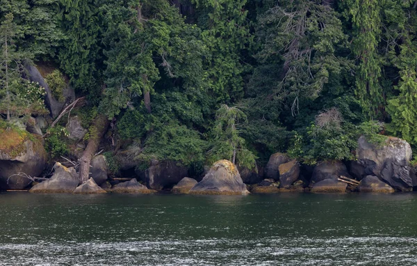 Rocks Trees Island Cloudy Day Summer Season Nanaimo Vancouver Island — Stock Photo, Image