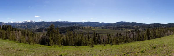Green Trees Mountains American Landscape Spring Season Wyoming United States — Fotografia de Stock