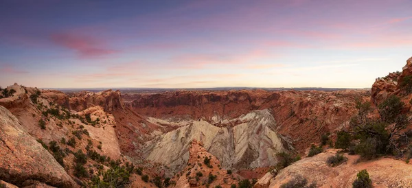 Scenic Panoramic View of American Landscape and Red Rock Mountains in Desert Canyon. Colorful Sunset Sky Art Render. Canyonlands National Park. Utah, United States. Nature Background Panorama