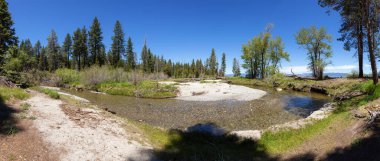 Panoramic View of River near the Lake surrounded by Mountains and Trees. Summer Season. Sugar Pine Point Beach, Tahoma, California, United States. Sugar Pine Point State Park. Nature Background.