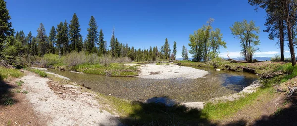Panoramic View of River near the Lake surrounded by Mountains and Trees. Summer Season. Sugar Pine Point Beach, Tahoma, California, United States. Sugar Pine Point State Park. Nature Background.