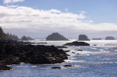 Rugged Rocks on a rocky shore on the West Coast of Pacific Ocean. Summer Morning Sky. Ucluelet, Vancouver Island, British Columbia, Canada. Nature Background