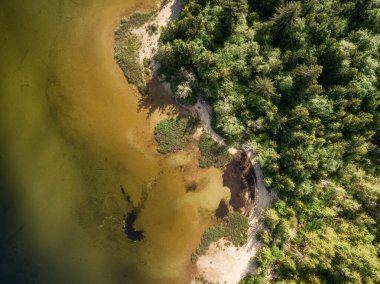 Sandy beach on the lake with green trees. Canadian Nature Background. Aerial View from Above. Kennedy Lake in Vancouver Island near Tofino and Ucluelet, British Columbia, Canada.