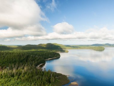 Sandy beach on the lake with green trees. Canadian Nature Background. Aerial View from Above. Kennedy Lake in Vancouver Island near Tofino and Ucluelet, British Columbia, Canada.