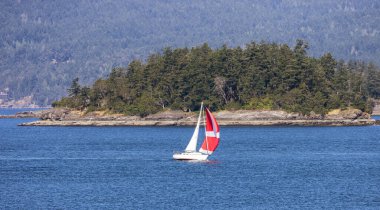 Sailboat in Canadian Landscape by the ocean and mountains. Summer Season. Gulf Islands near Vancouver Island, British Columbia, Canada. Canadian Landscape.