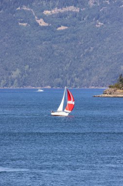 Sailboat in Canadian Landscape by the ocean and mountains. Summer Season. Gulf Islands near Vancouver Island, British Columbia, Canada. Canadian Landscape.