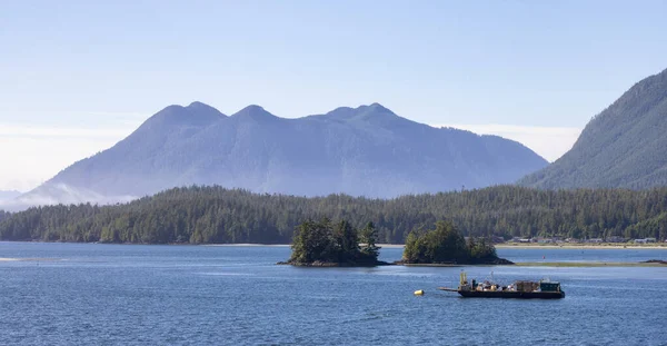 Tofino Vancouver Island British Columbia Canada View Canadian Mountain Landscape — Zdjęcie stockowe
