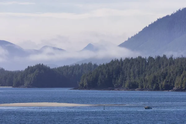 Tofino Vancouver Island British Columbia Canada View Canadian Mountain Landscape — Stockfoto