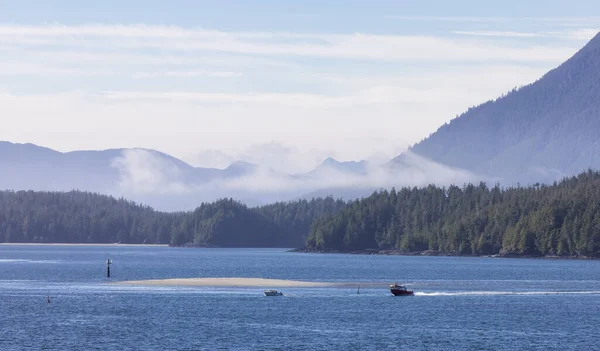 Tofino Vancouver Island British Columbia Canada View Canadian Mountain Landscape — Stockfoto