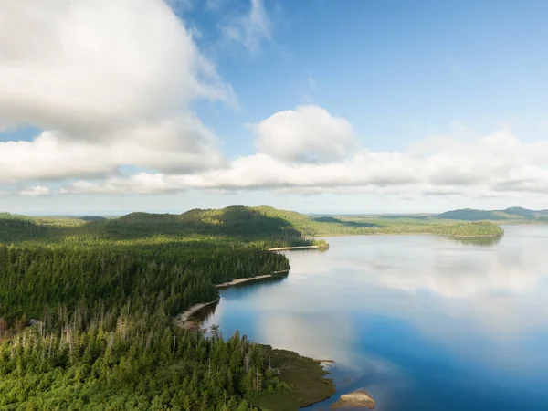 Sandy beach on the lake with green trees. Canadian Nature Background. Aerial View from Above. Kennedy Lake in Vancouver Island near Tofino and Ucluelet, British Columbia, Canada.
