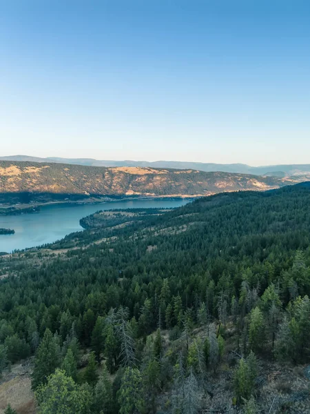 Aerial View Green Trees Mountain Top Lake Blue Sky Vernon — Fotografia de Stock