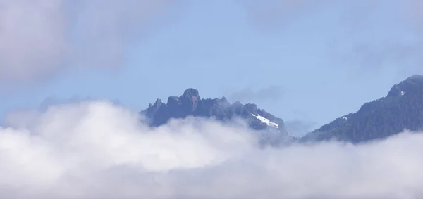 Canadian Nature Landscape Trees Mountains Sunny Summer Morning Tofino Ucluelet — ストック写真