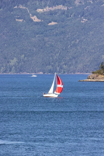 Sailboat in Canadian Landscape by the ocean and mountains. Summer Season. Gulf Islands near Vancouver Island, British Columbia, Canada. Canadian Landscape.
