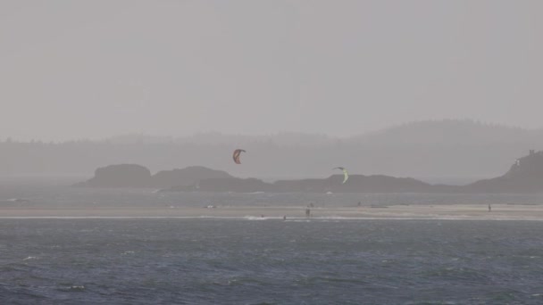 Waves Pacific Ocean Sandy Rocky Beach Kitesurfer Surfing West Coast — Stockvideo