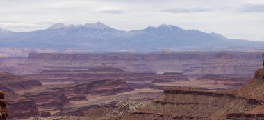 Desert Canyon 'daki Manzaralı Amerikan Manzarası ve Kızıl Kaya Dağları. Bahar sezonu. Canyonlands Ulusal Parkı. Utah, Birleşik Devletler. Doğa Arkaplanı.