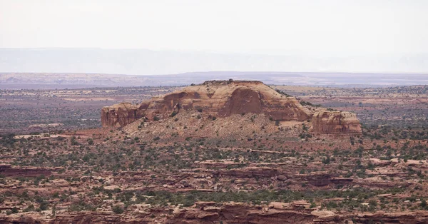 Scenic American Landscape Red Rock Mountains Desert Canyon Spring Season — Stock Fotó