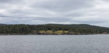 Islands surrounded by ocean and mountains. Summer Season. Gulf Islands near Vancouver Island, British Columbia, Canada. Canadian Landscape.