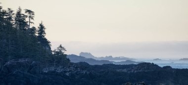 Rugged Rocks on a rocky shore on the West Coast of Pacific Ocean. Summer sunrise. Ucluelet, Vancouver Island, British Columbia, Canada. Nature Background